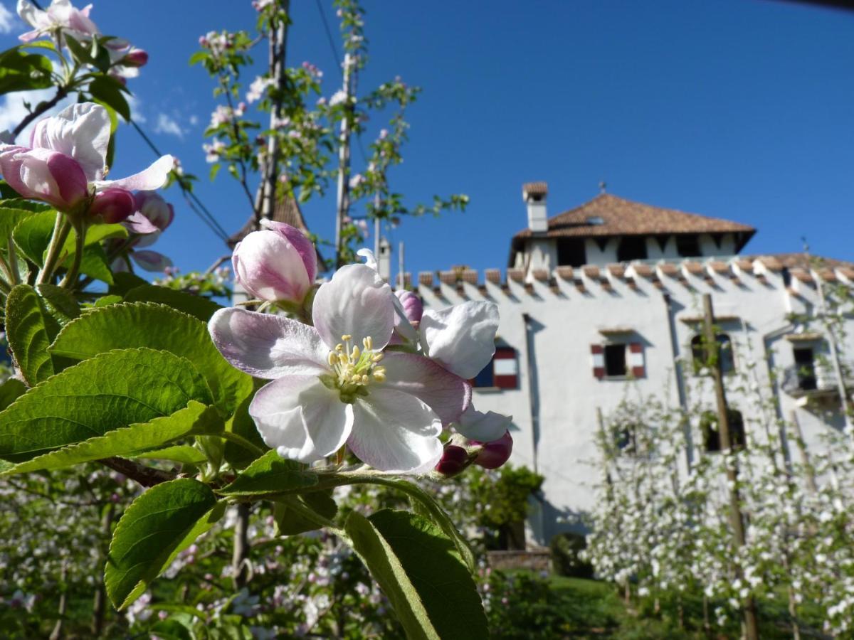 Apartments Schloss Paschbach Appiano Sulla Strada Del Vino Zewnętrze zdjęcie