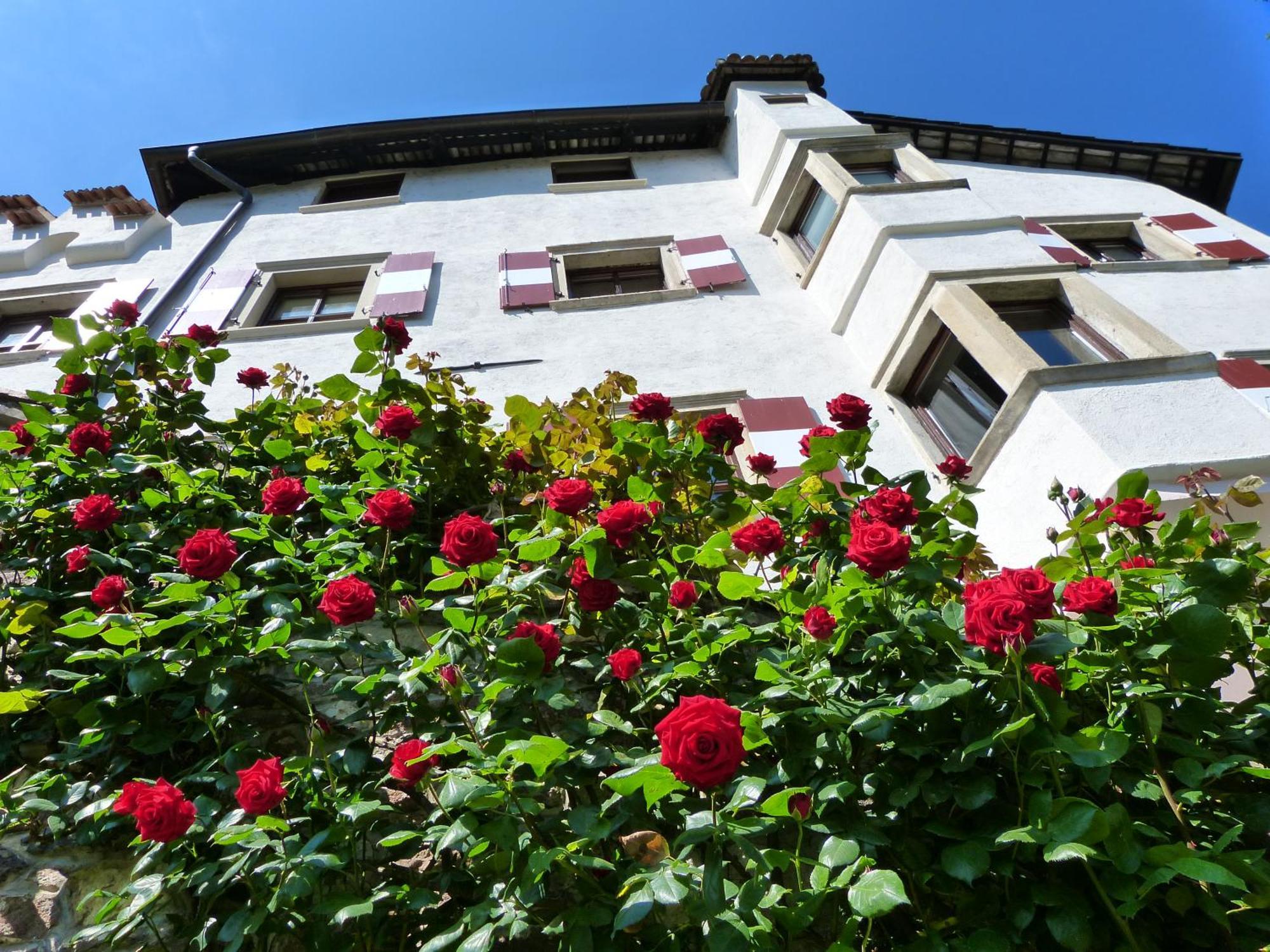 Apartments Schloss Paschbach Appiano Sulla Strada Del Vino Zewnętrze zdjęcie