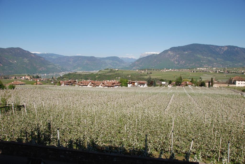 Apartments Schloss Paschbach Appiano Sulla Strada Del Vino Zewnętrze zdjęcie