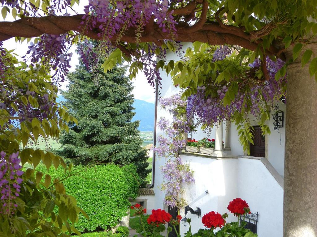 Apartments Schloss Paschbach Appiano Sulla Strada Del Vino Zewnętrze zdjęcie